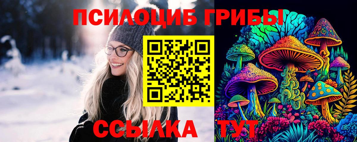 что такое наркотик  Вход с VPN  Брянск  Псилоцибиновые грибы ЛСД 