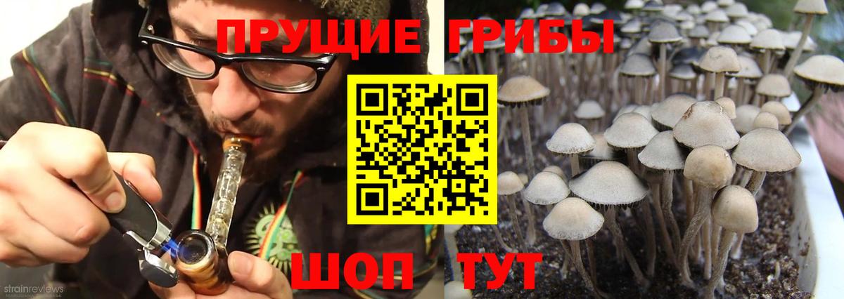 Галлюциногенные грибы Magic Shrooms Брянск